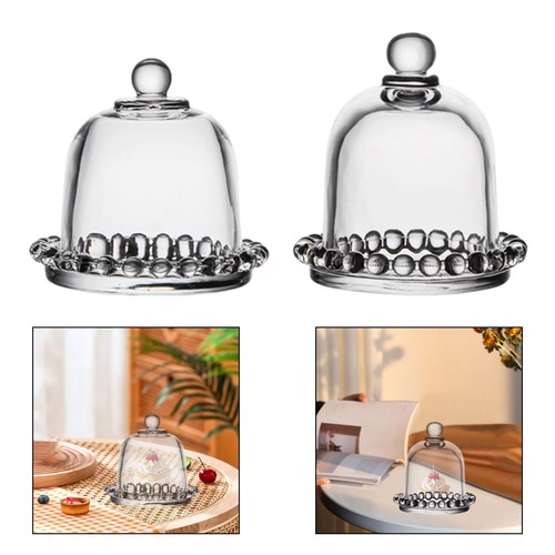 Runde kuppelförmige vitrine - kuppelförmige,